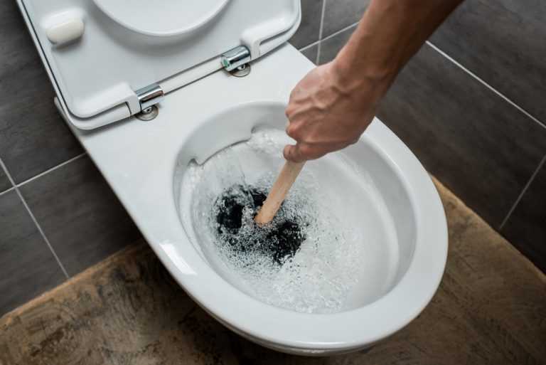 How to Unclog a Toilet with Poop in it! The Handyman’s Guide ...